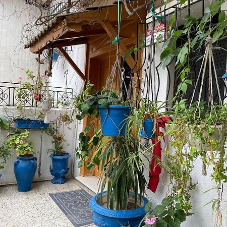 Casa Zitouna - Guest House - Kef, Tunisia Sicca Veneria Extérieur photo