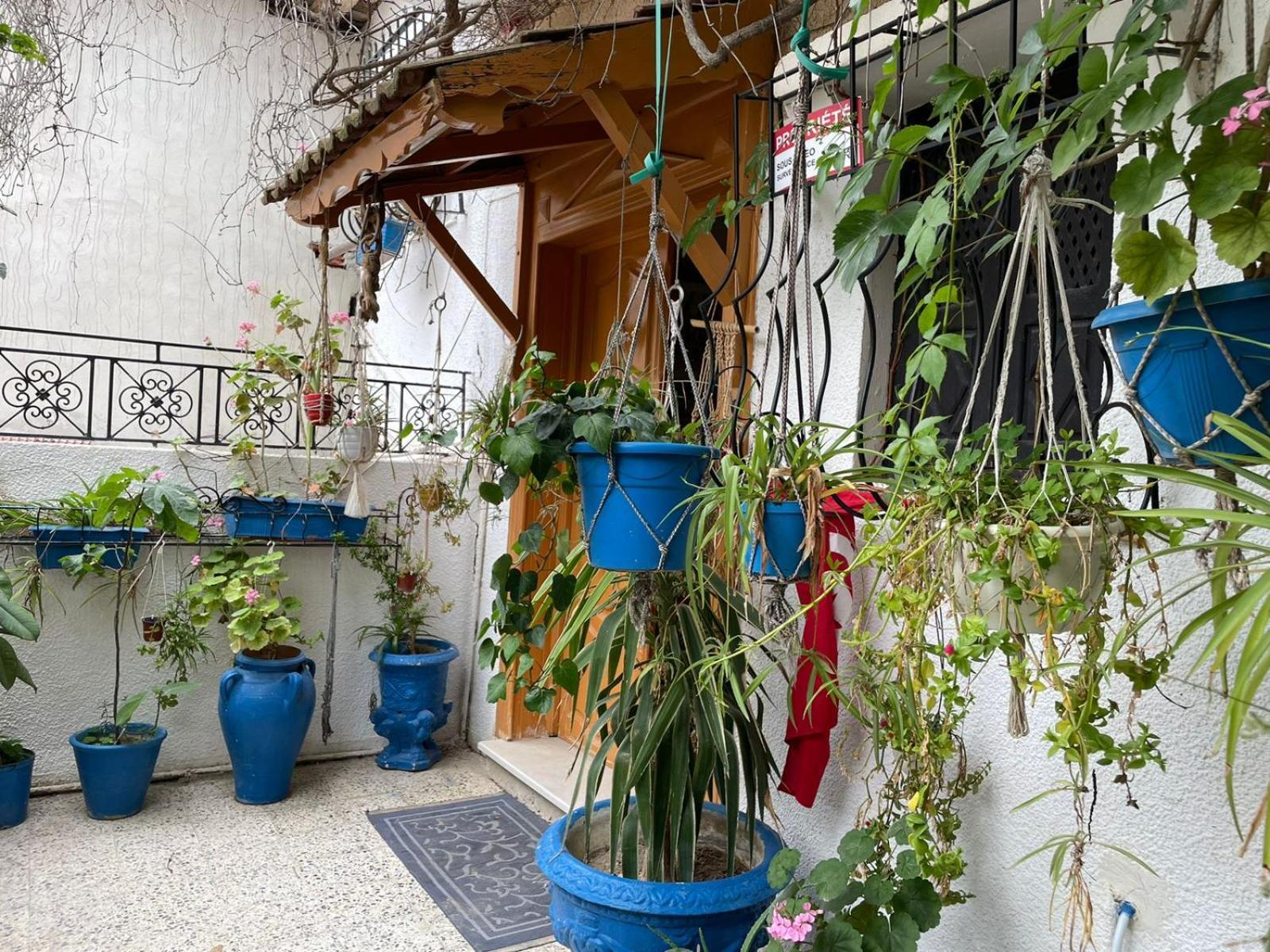 Casa Zitouna - Guest House - Kef, Tunisia Sicca Veneria Extérieur photo