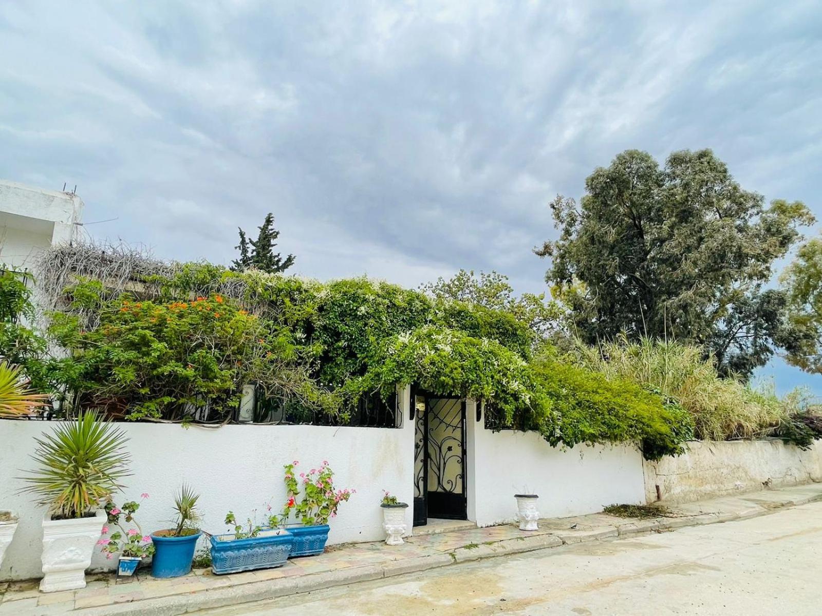 Casa Zitouna - Guest House - Kef, Tunisia Sicca Veneria Extérieur photo